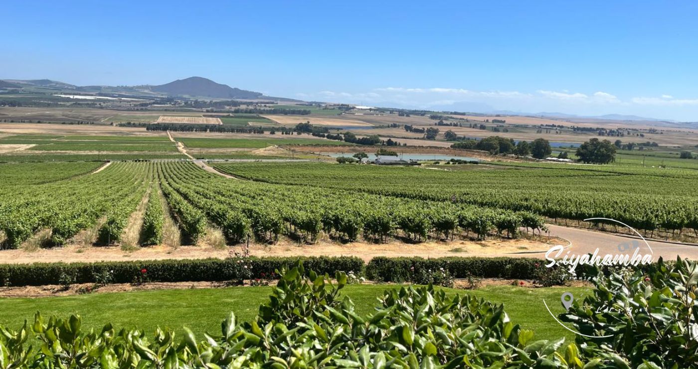 Cape Town Wineland Tours